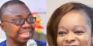 Présidentielle 2021 : Le duo de »Les Démocrates » connu