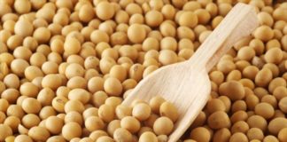 Soja : Hausse du prix plancher d’achat au producteur