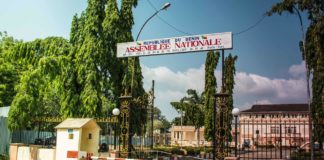 Révision de la Constitution au Bénin : le Sénat sur le point de devenir réalité