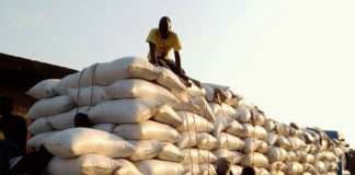 Bénin : Révision à la hausse du prix du soja