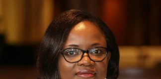 Cour constitutionnelle : Recours contre la désignation de Dandi Gnamou