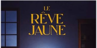 Littérature : » le rêve jaune « , désormais disponible en librairie