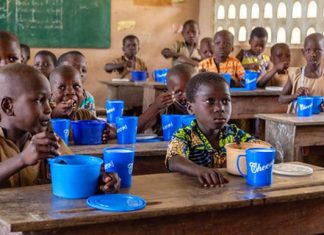 Cantines scolaires : Vers l’implantation d’une usine de transformation de produits agricoles locaux en compléments alimentaires