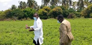 Secteur agricole : Adoption d’un plan national d’investissements agricoles et de sécurité alimentaire et nutritionnelle