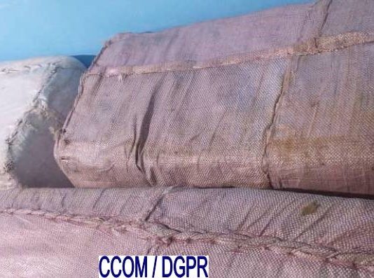 Lutte contre les faux médicaments : Une cargaison saisie à Djrègbé