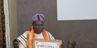 Prix meilleur acteur de développement africain : Roland Yves Adebayo Alayé, distingué pour ses œuvres à la FeRCAB