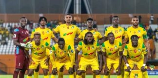 Éliminatoires Coupe du Monde 2026 : La note des Guépards