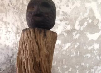 Du bois au beau : L’univers inspirant du Musée Tayé Tayé »