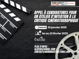 Programme de formation continue en spécialisation des Arts : Appel à candidatures pour la session de Février 2025 dédiée au Cinéma