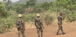 Nord Bénin : 28 militaires tués dans une attaque meurtrière