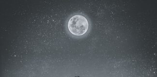 »Les Chroniques du Clair de Lune » : Orion Jaeb dévoile un EP entre introspection et métissage musical