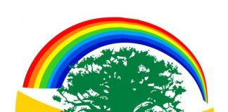 Fusion PRD-UP : Vers un divorce politique ?