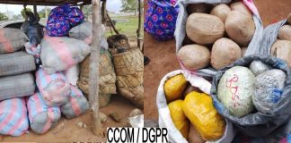 Commune de Ouaké : 1240 kg de chanvre saisis dans un minibus