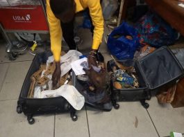 Gabon : un Béninois interpellé à l’aéroport de Libreville avec deux valises remplies de fétiches