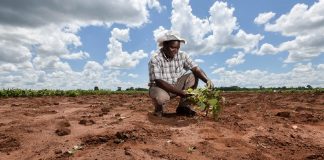 Climat et agriculture : le Bénin passe à l’assurance indicielle pour 100.000 producteurs