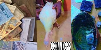 À la recherche d’un dindon volé : La police met la main sur plus de deux millions en faux billets