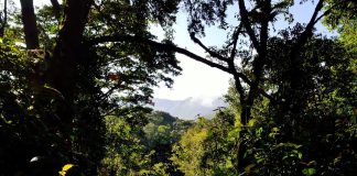 Bénin : le Parc national des Monts Kouffè – Wari Maro voit le jour