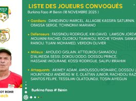 Journée FIFA – Novembre 2025 : Quatre nouvelles têtes chez les Guépards