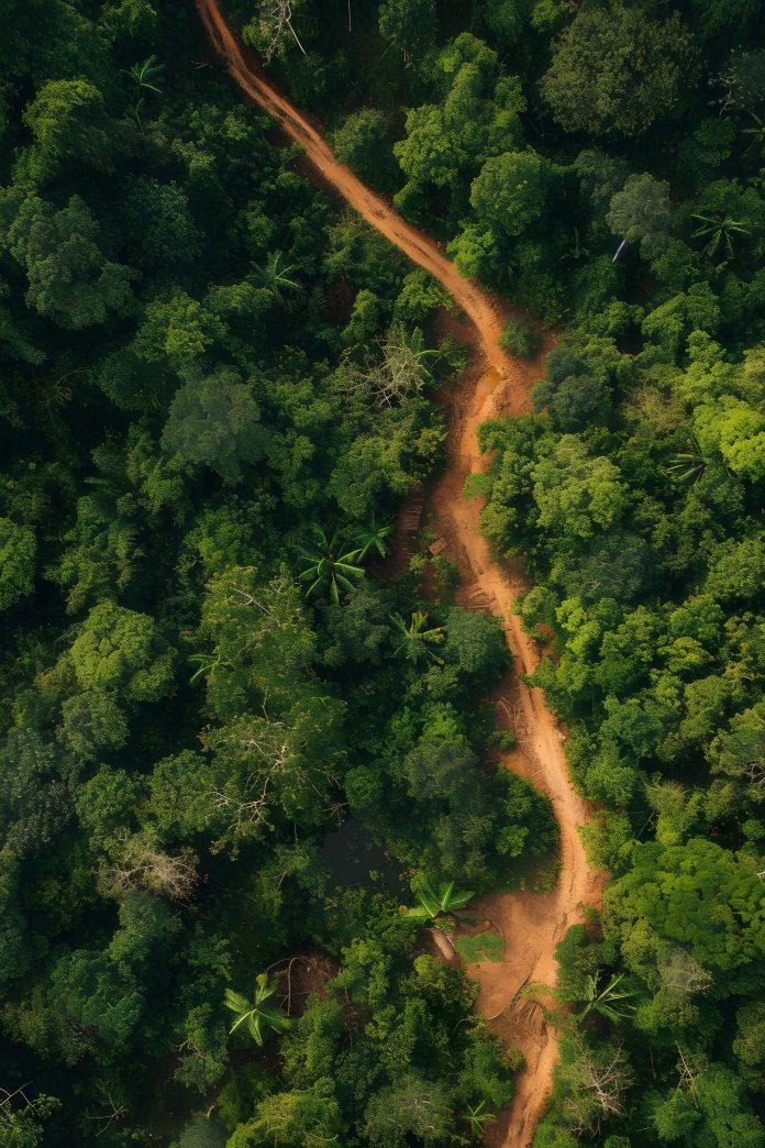 mountain_placeholder