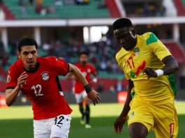 CAN Maroc 2025 : les Guépards tombent avec honneur face à l’Égypte