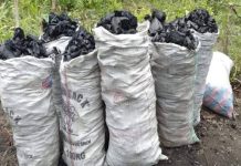 Cotonou : La construction d’un nouveau marché au charbon et de pharmacopée annoncée