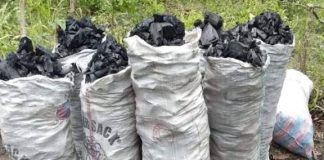 Cotonou : La construction d’un nouveau marché au charbon et de pharmacopée annoncée