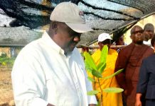 Campagne agricole : Des ambitions à la hausse pour 2026-2027