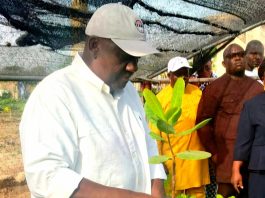 Campagne agricole : Des ambitions à la hausse pour 2026-2027