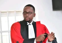 Affaire Kemi Seba : la CRIET engage une procédure d’extradition