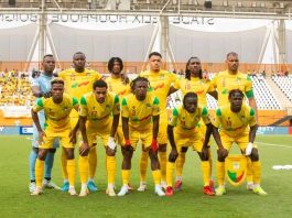 Éliminatoires CAN 2027 : les Guépards évoluent dans le groupe F