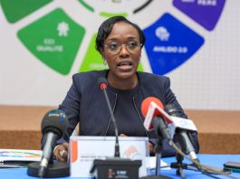 Bénin : Interdiction de commercialisation de trois marques de concentré de tomates