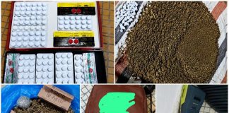 Vodjè : Dix personnes interpellées et des produits psychotropes saisis