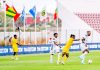 Match amical : Du rêve au naufrage, Les Guépards coulent face aux Éperviers dans le derby !