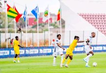 Match amical : Du rêve au naufrage, Les Guépards coulent face aux Éperviers dans le derby !