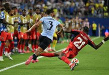 Mondial 2026 : Invincibles Requins Bleus ?