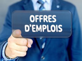 Opportunité d’emploi : Recrutement de 03 experts pour des projets en Afrique de l’Ouest