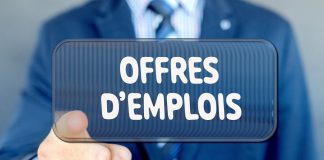 Opportunité d’emploi : Recrutement de 03 experts pour des projets en Afrique de l’Ouest